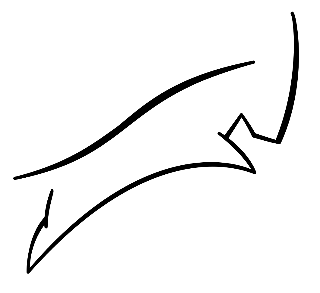 Capra IT Services
